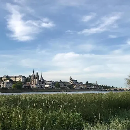 Ferienwohnung Quai De La Loire Blois Exterior foto