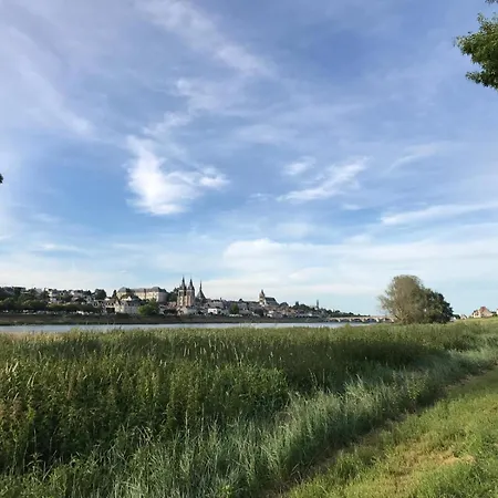 Ferienwohnung Quai De La Loire Blois Exterior foto