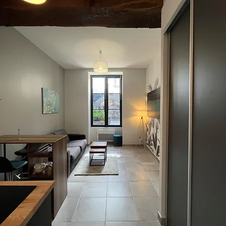 Ferienwohnung Quai De La Loire Blois Exterior foto