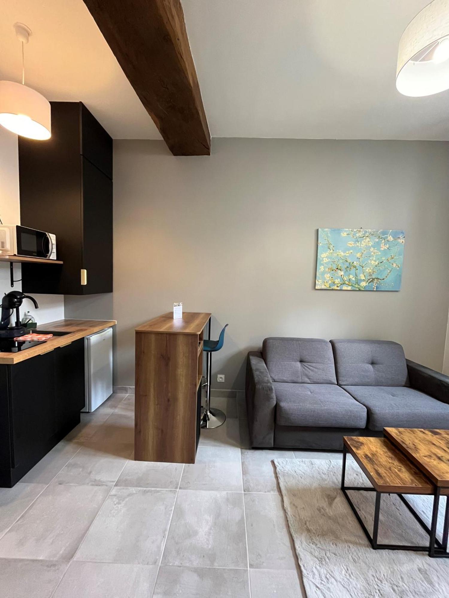 Quai De La Loire Apartment Blois